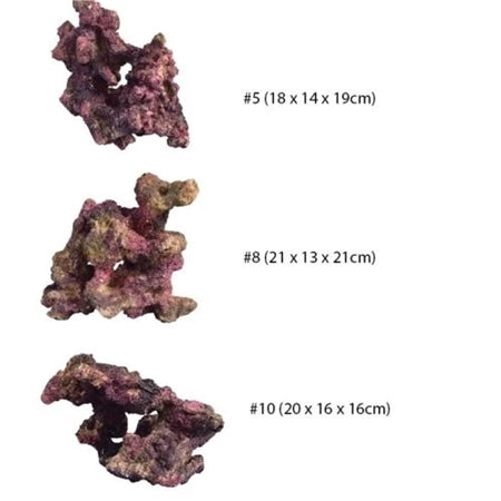 TMC EcoReef Rock Mix B