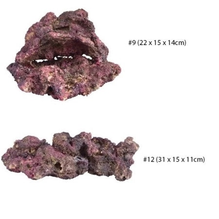 TMC EcoReef Rock - Mixed Box C