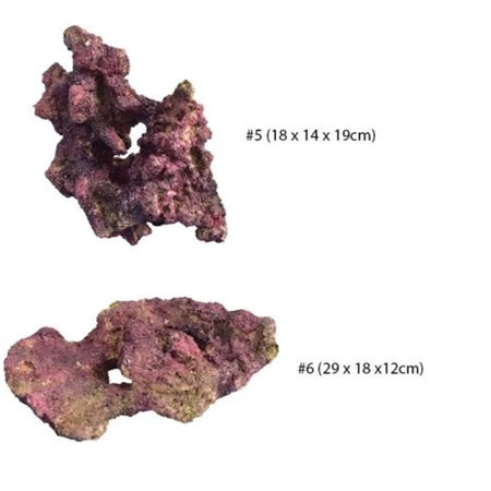 TMC EcoReef Rock - Mixed Box D