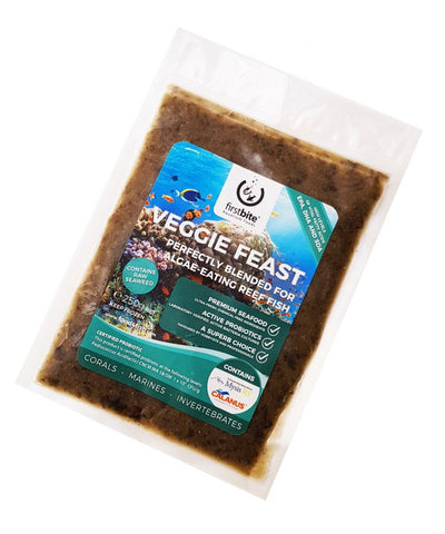 Reef Feast- First Bite