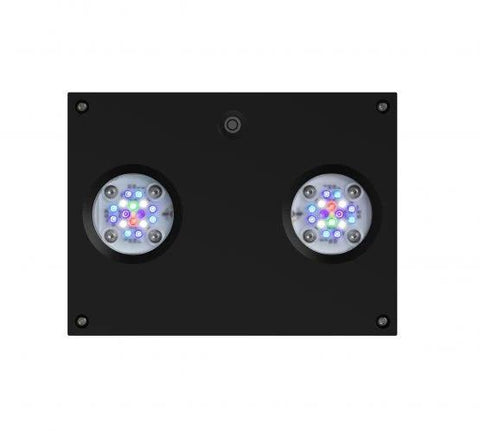 AI Hydra 32HD Two Unit Package