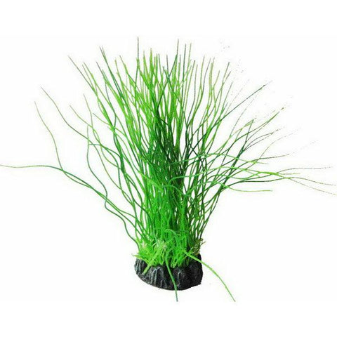 Eleocharis Acicularis 20cm Artificial Plant
