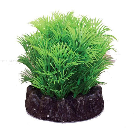 Silk Aquarium Hornwort Plant 8cm