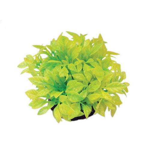 Rose Leaf Yellow 7x7x9cm