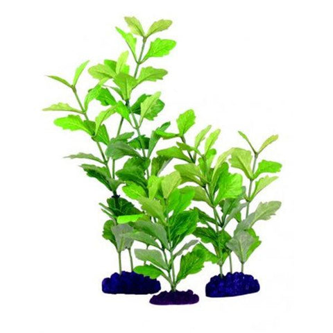 Silk Aquarium Plant Shinnsia Rivularis