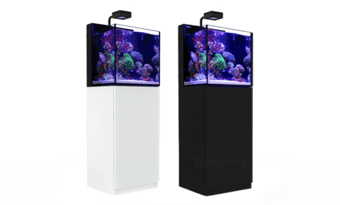 Red Sea Max Nano Aquarium - Black
