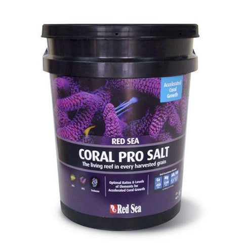 Coral Pro Salt