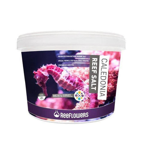 Reeflowers Caledonia Reef Salt