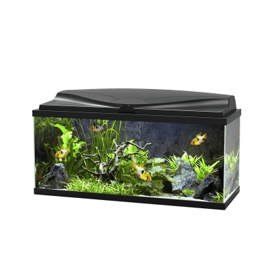 80 litre fish on sale tank