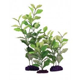 Silk Aquarium Plant Shinnsia Rivularis 20cm