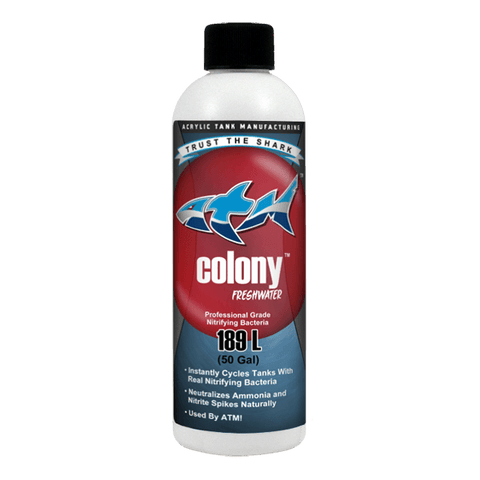 Colony Nitrifying Bacteria Freshwater