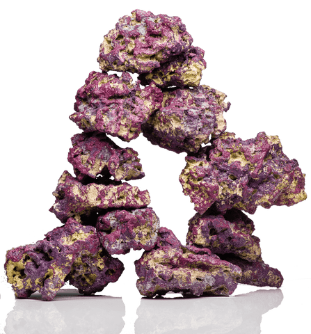 Life Rock 20lb/9kg Display Box