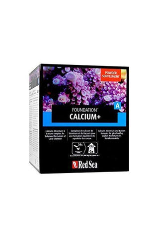 Red Sea Reef Foundation A