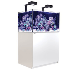 Red Sea Reefer G2+ 350 Deluxe Aquarium - White