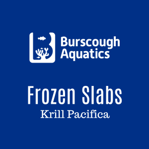 Krill Pacifica - Frozen Slabs