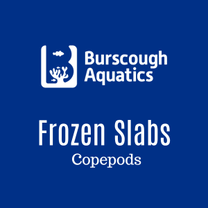 Copepods - Frozen Slabs