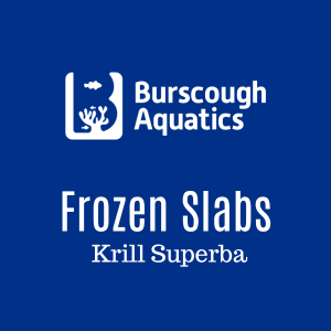 Krill Superba - Frozen Slabs