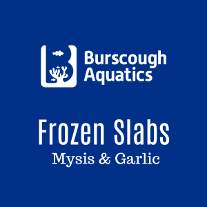 Mysis & Garlic - Frozen Slabs