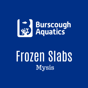 Mysis - Frozen Slabs