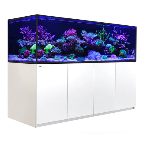 Red Sea Reefer G3 S-1000 Aquarium