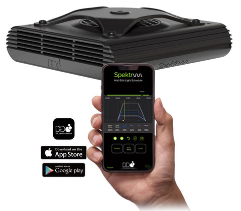 D-D Spektrum LED Light