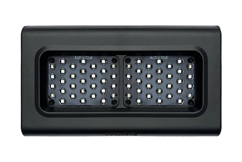 D-D Spektrum LED Light