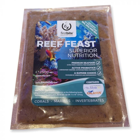 First Bite - Reef Feast