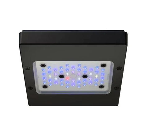 Ecotech Radion XR15w Blue G6 LED