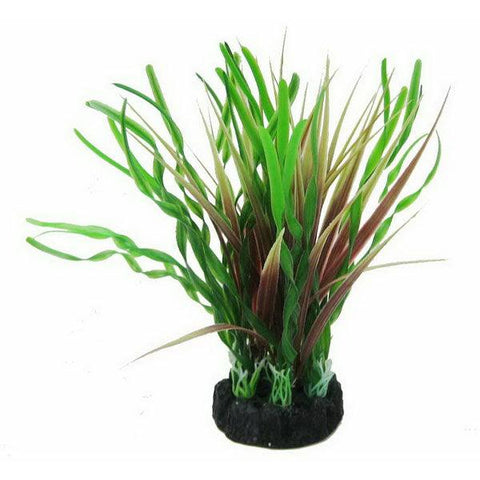Vallis and Echindorus Green and Purple 18cm Artificial Plant