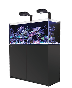 Red Sea Max E 260 Aquarium - Black
