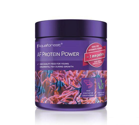 Protein Power