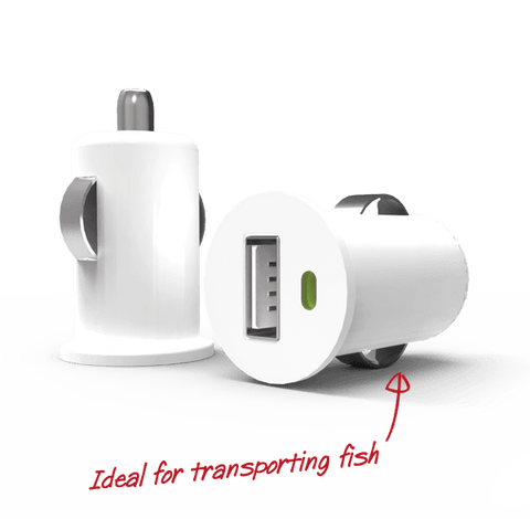Micro Travel Power Adapter