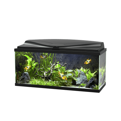 Ciano Aquarium 80 LED - (Including CF80 Filter, Heater & LED Lighting) 71 Litre