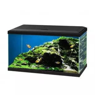 Ciano Aquarium 60 LED - (Including CF80 Filter, Heater & LED Lighting) 58 Litre