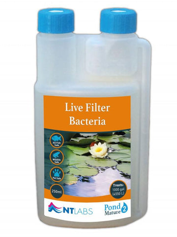 Live Filter Bacteria