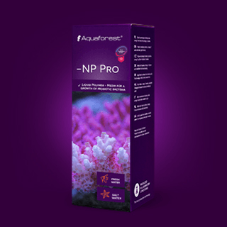 Probiotics - NP Pro
