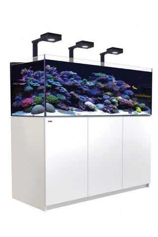 Red Sea Reefer G2+ XL 625 Deluxe Aquarium - White
